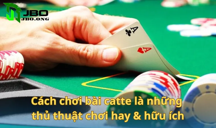 Cách chơi bài catte là những thủ thuật chơi hay & hữu ích