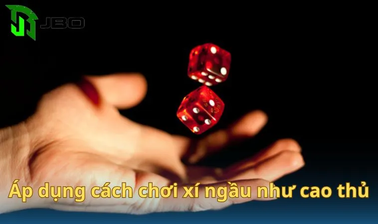 Áp dụng các cách chơi xí ngầu như cao thủ