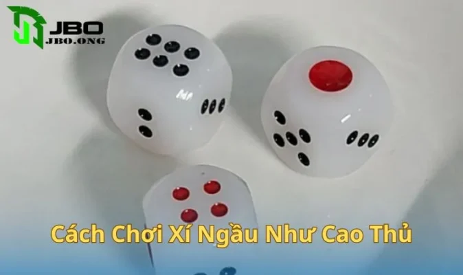 Cách Chơi Xí Ngầu Như Cao Thủ – Mẹo Hay Bạn Nên Biết